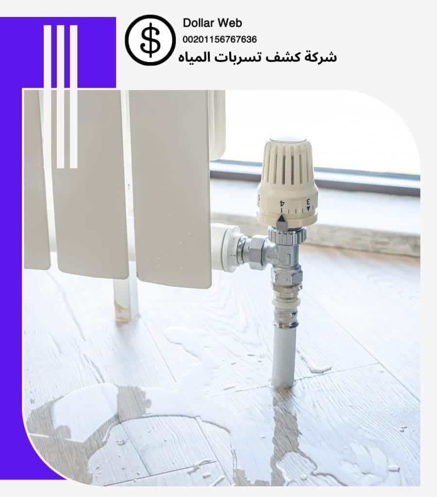 كشف تسربات المياه بالرياض