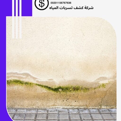 كشف تسربات المياه الرياض