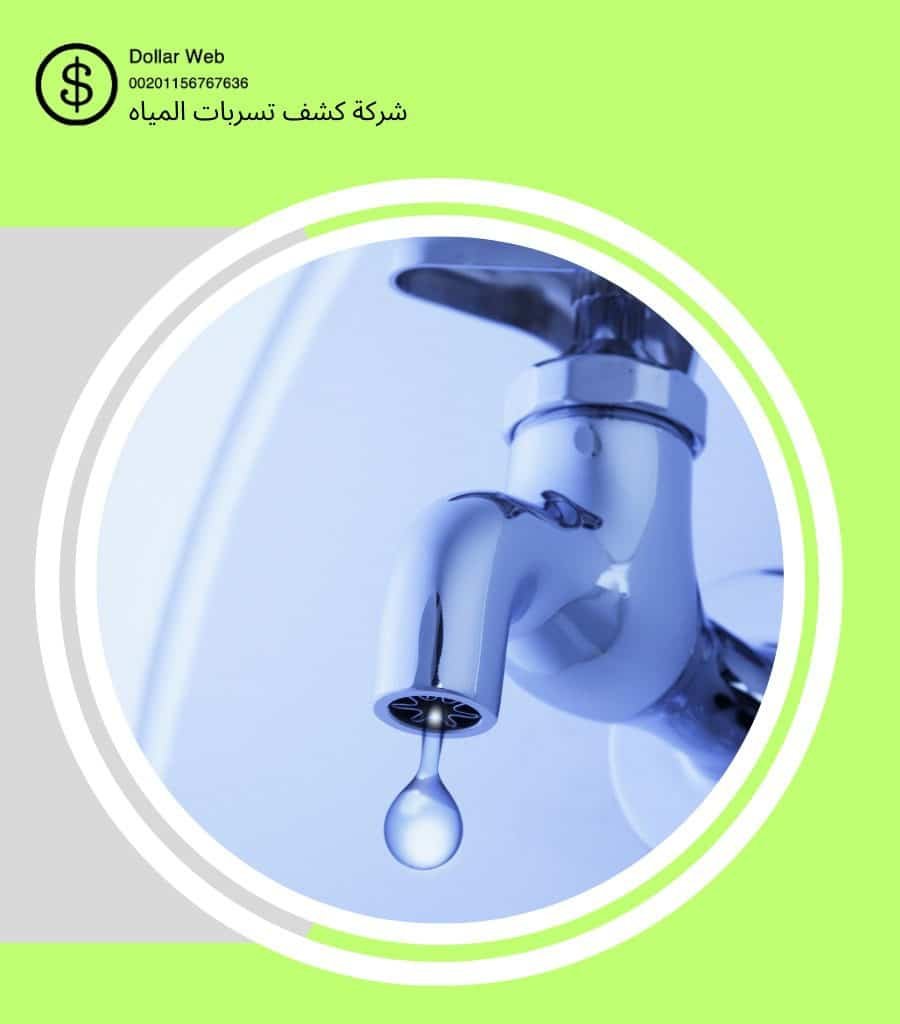 كشف تسربات المياه النرجس