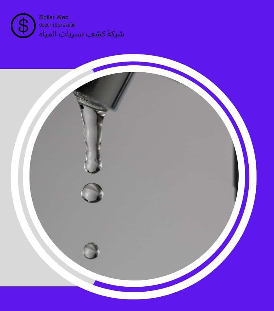 كشف تسربات المياه حطين