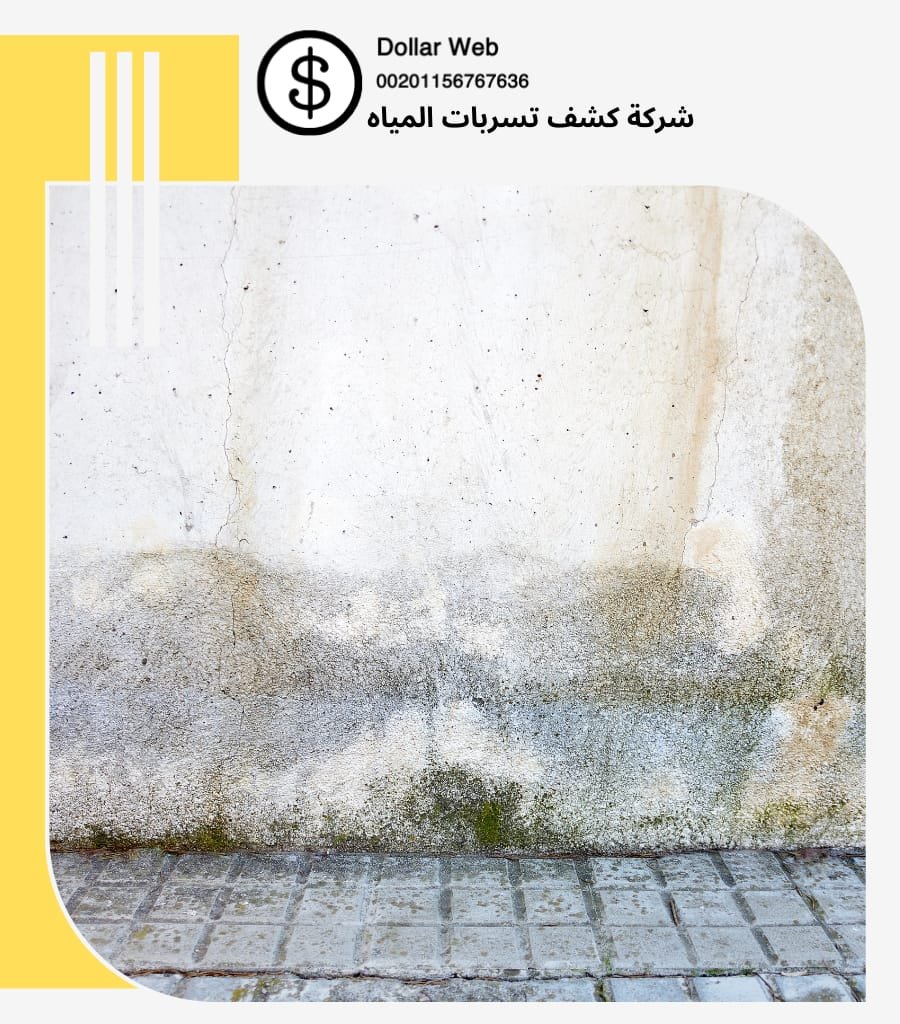 أسعار كشف تسربات المياة