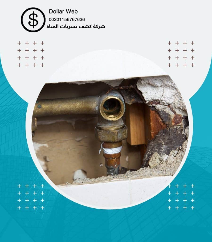 كشف تسربات حي النظيم بالرياض