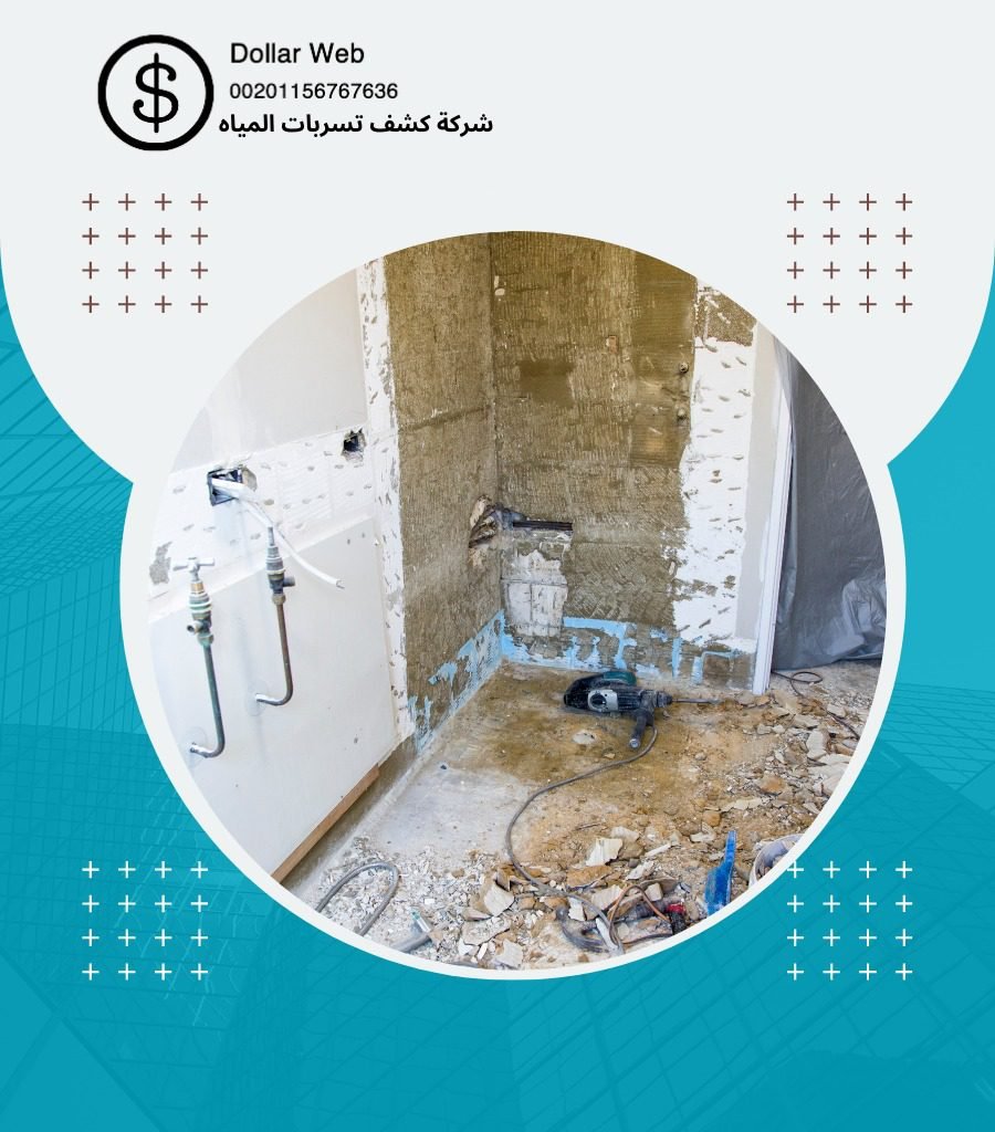 كشف تسربات حي السلي بالرياض
