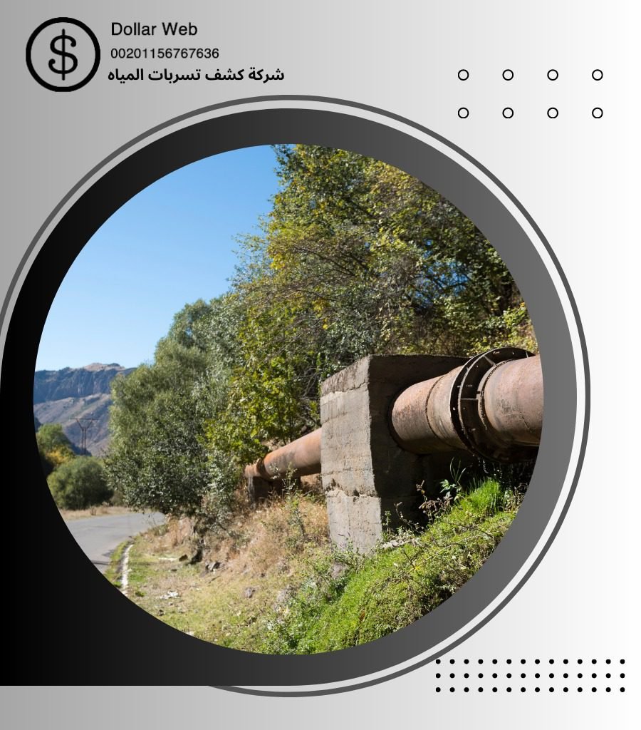 كشف تسربات حي البديعة بالرياض