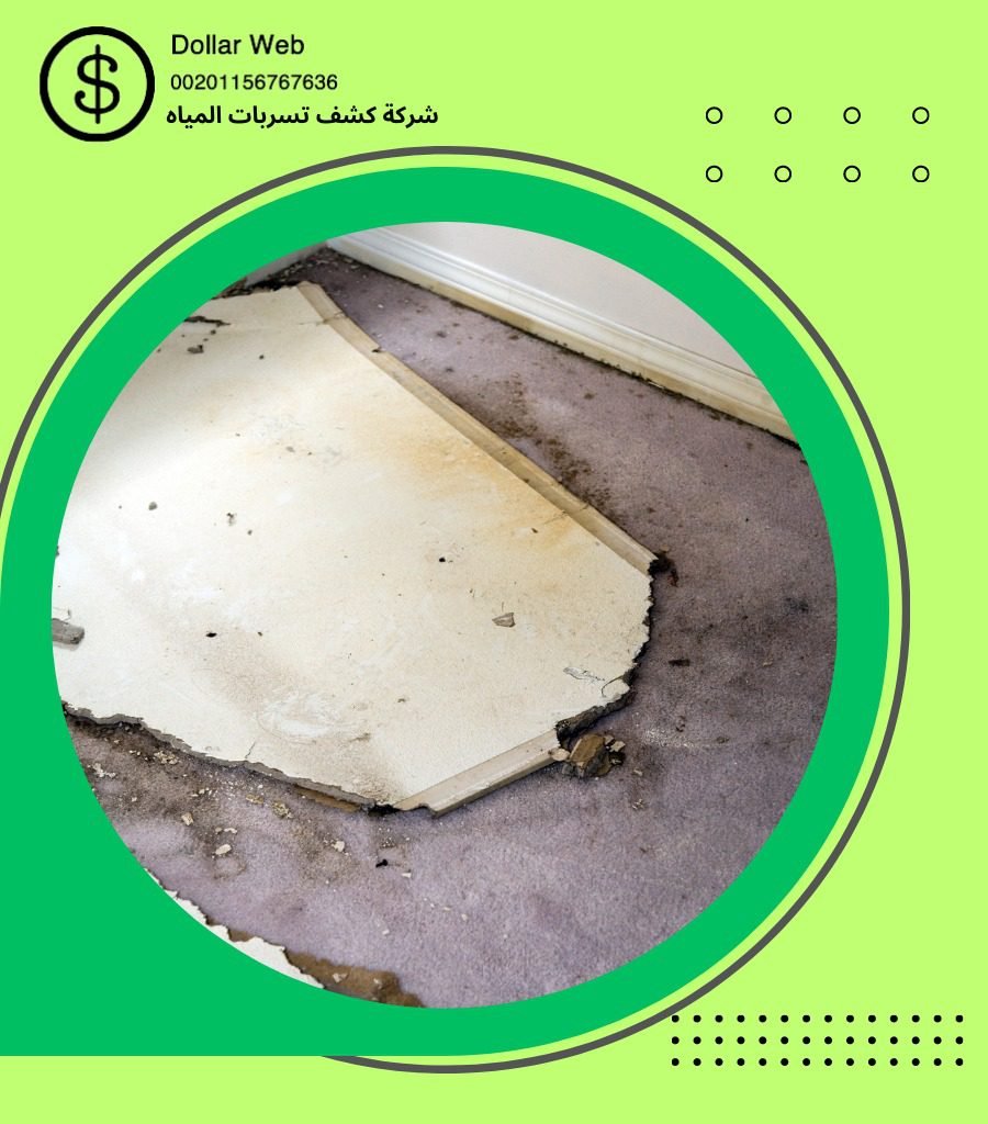 كشف تسربات حي اليرموك بالرياض